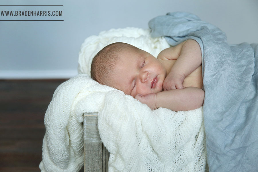 Dallas Newborn Photographer, Newborn Baby Photo, Dallas Photographer, Baby Portrait, Braden Harris Photography